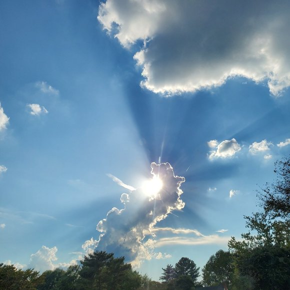 Meet your Posher, Practical-ish - Picture 1 of 1